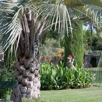 Photo de France - Le Jardin de Saint-Adrien : une oasis de verdure